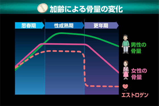 加齢による骨量の変化